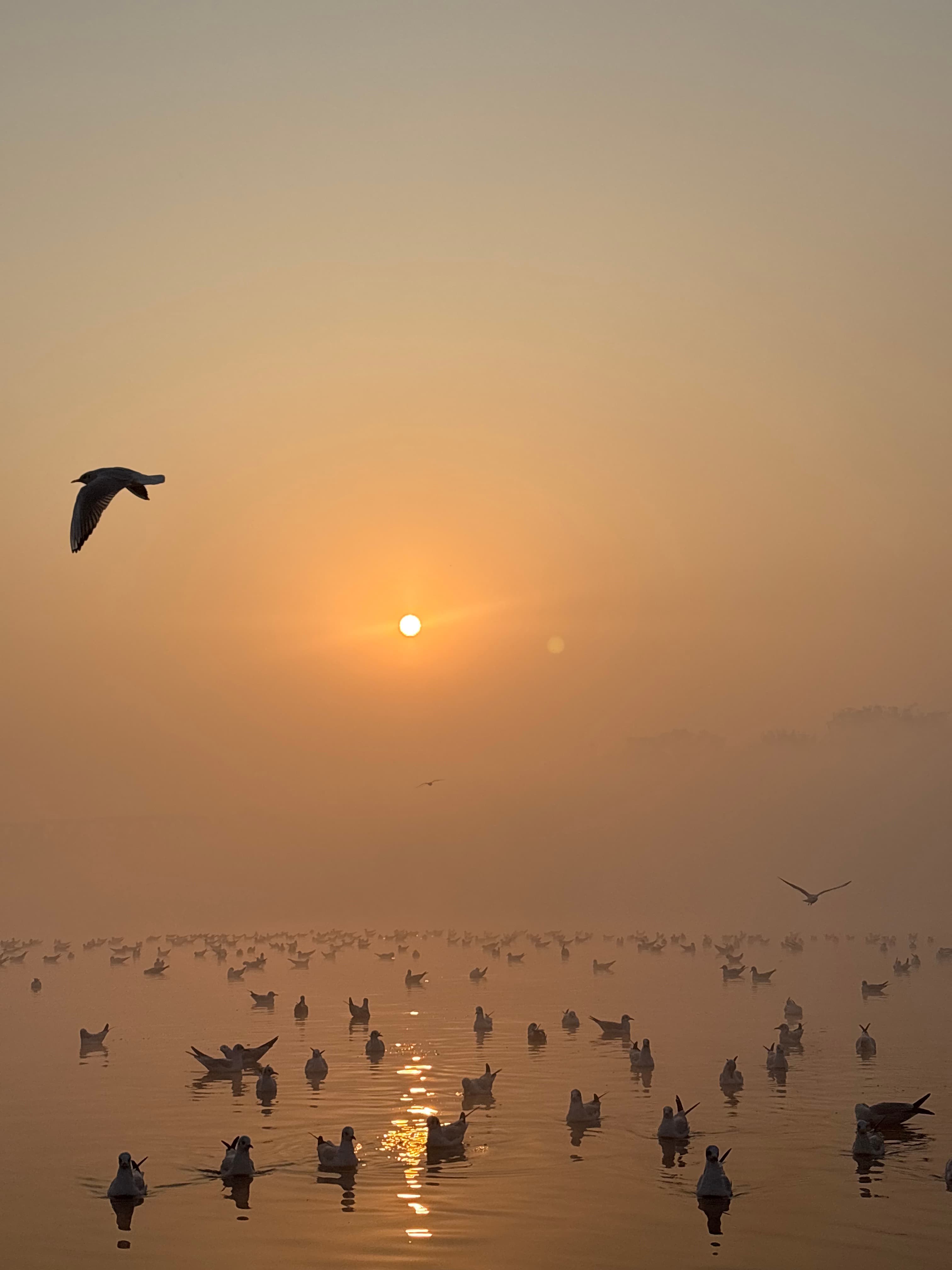 Yamuna | Sunrise Tour