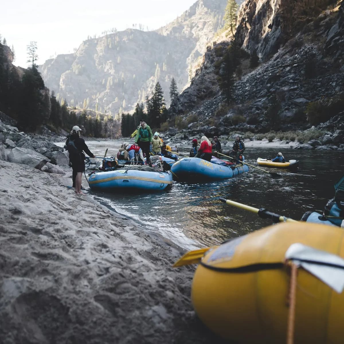 Thrivia Rafting Experience